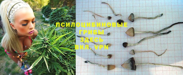 скорость Дмитриев