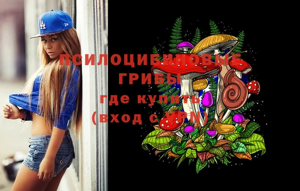 спиды Дмитровск