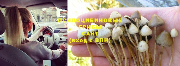 бошки Елизово