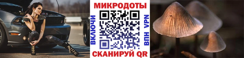 Псилоцибиновые грибы прущие грибы  где найти   Ворсма 
